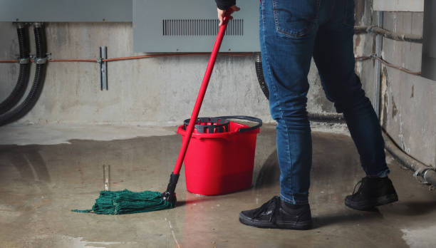 Carpet water damage restoration in Adair Village, OR