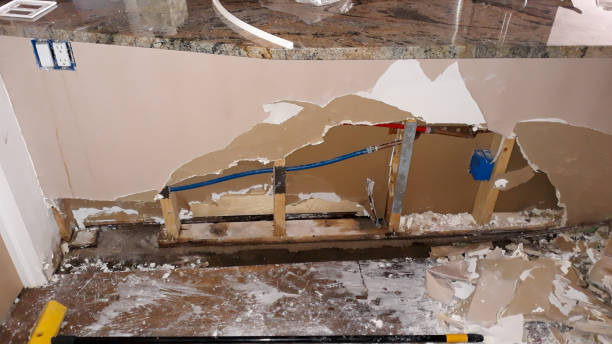 Best Professional water damage repair  in Adair Village, OR