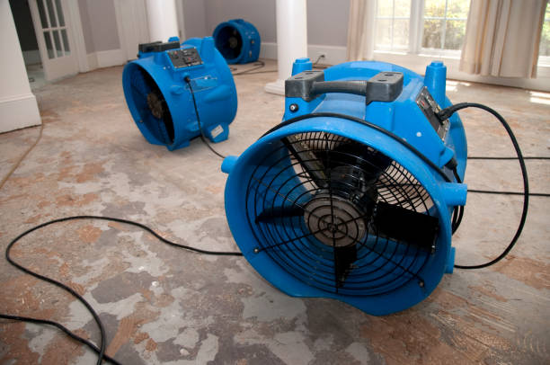 Best Mold removal after water damage  in Adair Village, OR