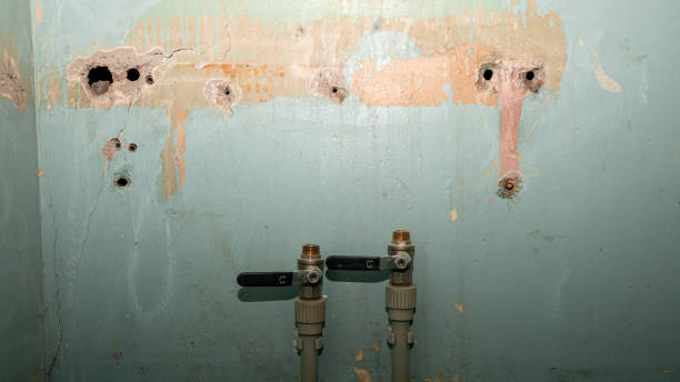 Best Flood restoration services  in Adair Village, OR