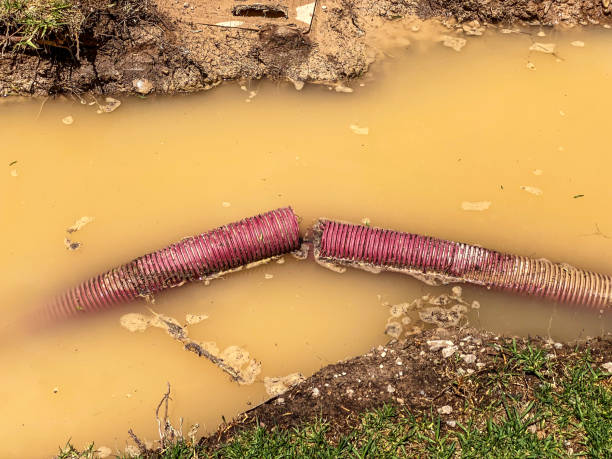 Best Water damage cleanup near me  in Adair Village, OR