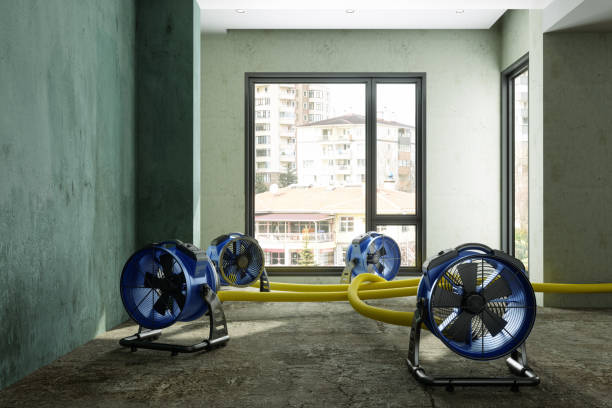 Best Local water damage restoration  in Adair Village, OR