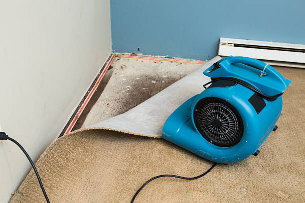 Carpet water damage restoration in Adair Village, OR